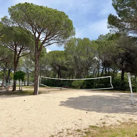 Le Panorama Des Pins - Terrasse, Golf, Piscine - 4 Pers Daire Saint-Raphaël