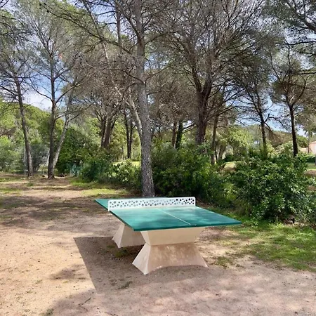 Lejlighed Le Panorama Des Pins - Terrasse, Golf, Piscine - 4 Pers